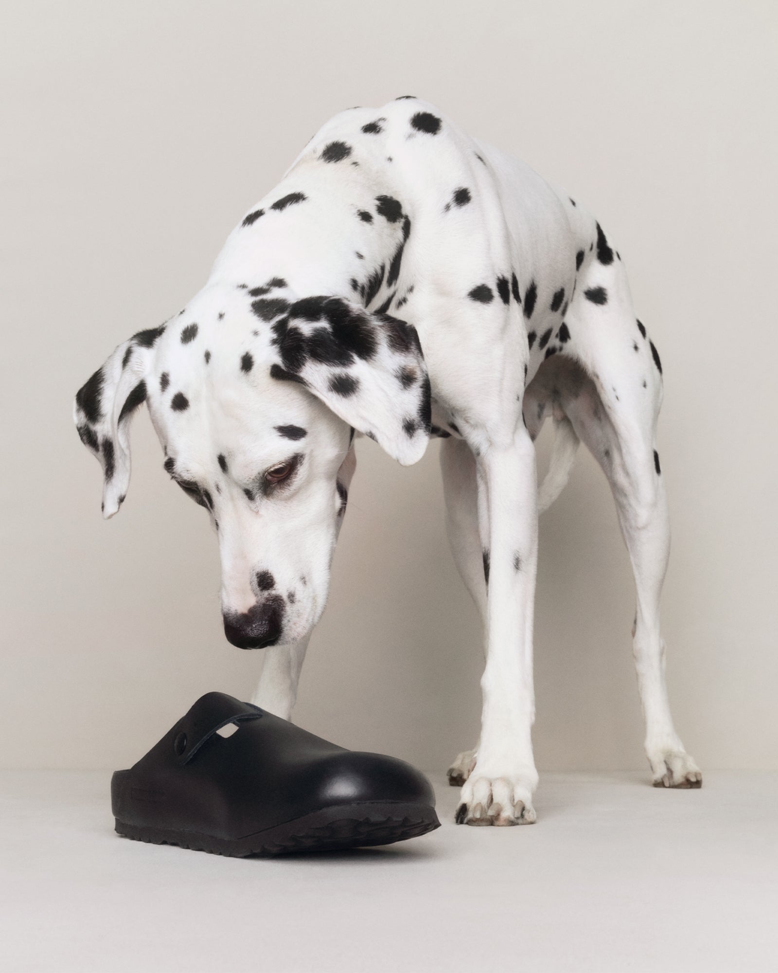 Birkenstock SS24 Campaign | Madhappy