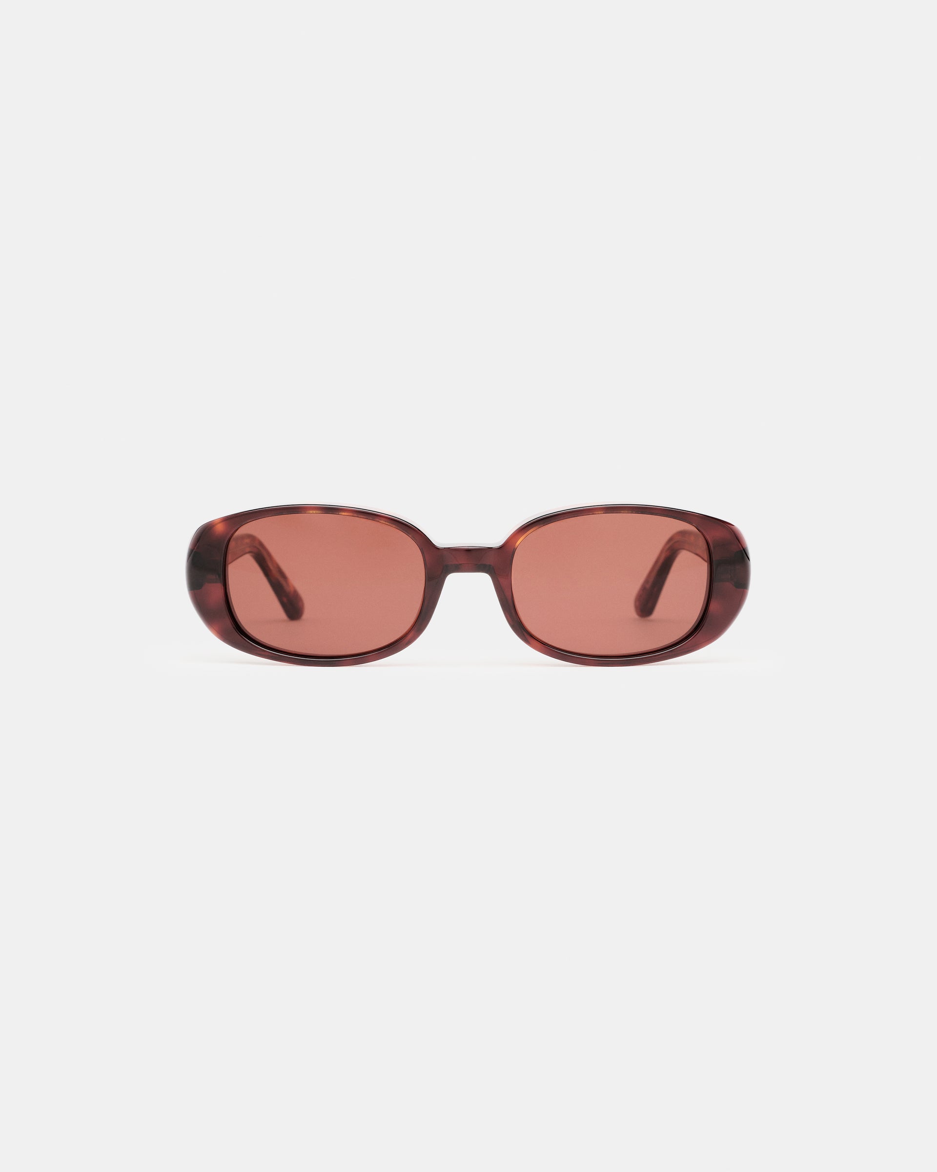 #tortoise - featured