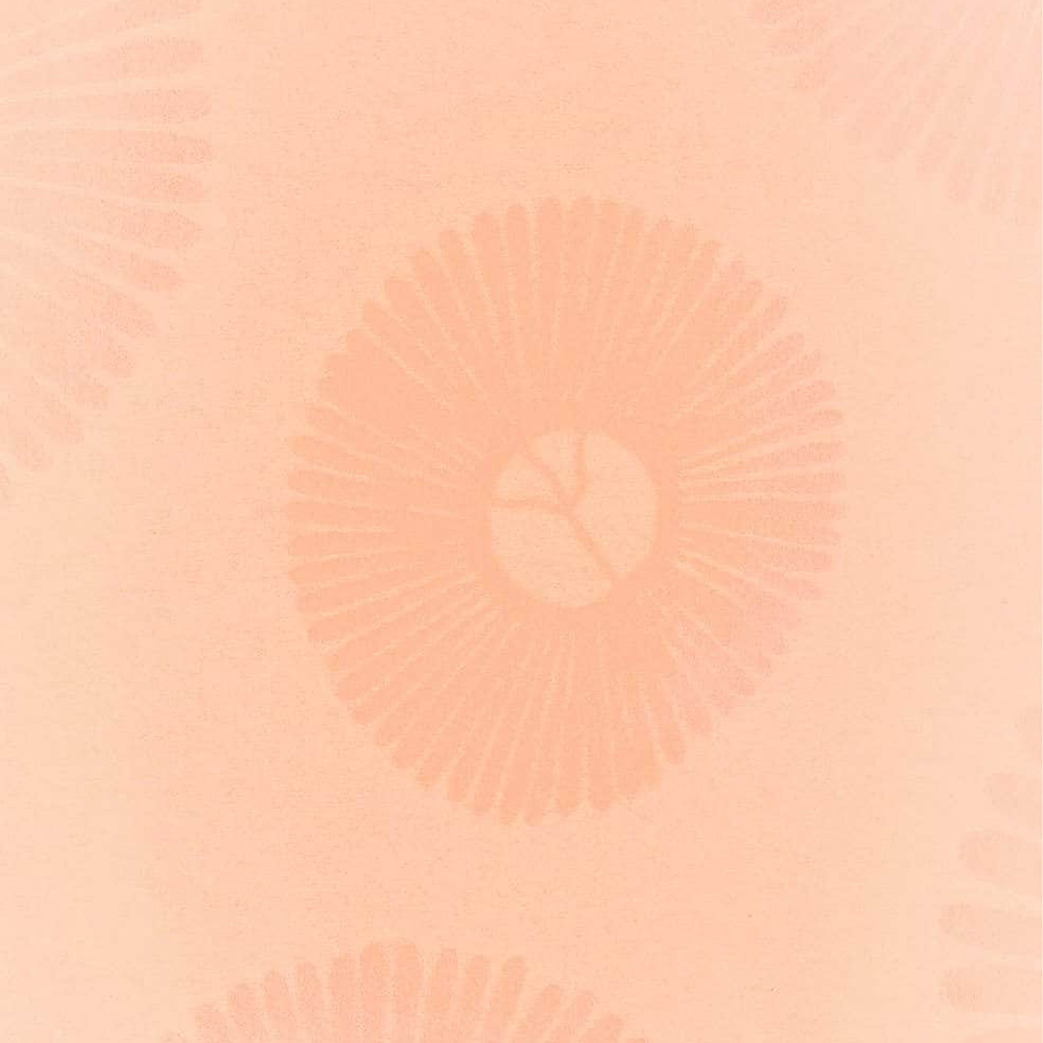 #blush